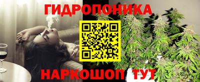 сатива Заволжье