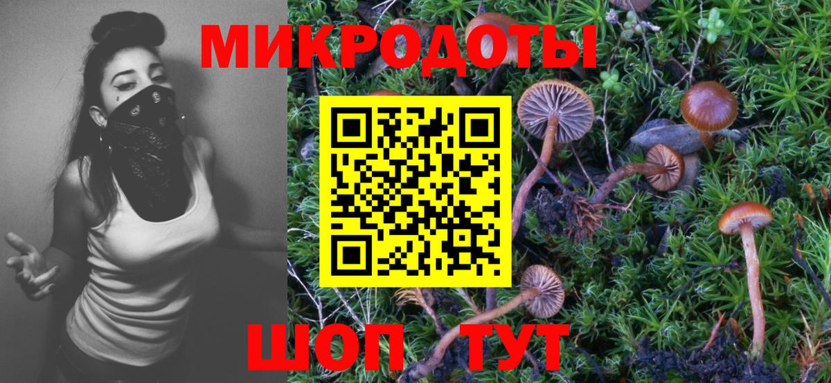 Галлюциногенные грибы мицелий Нефтекумск