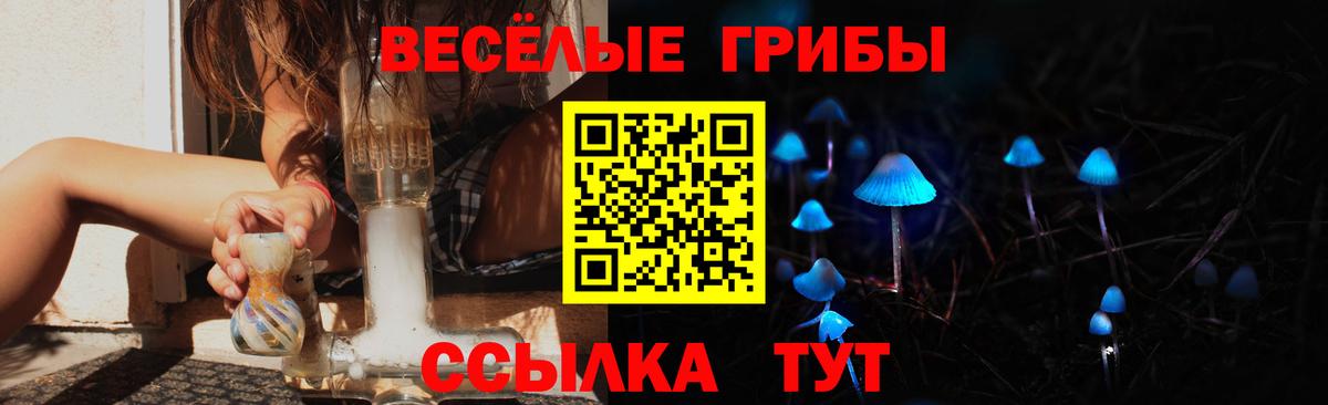 закладки  Вход с VPN  Нефтекумск  Псилоцибиновые грибы Psilocybine cubensis 